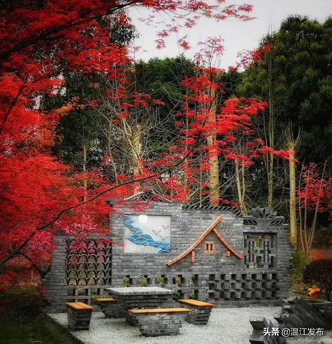 成都温江特色旅游,新旅游潮成都主题旅游目的地