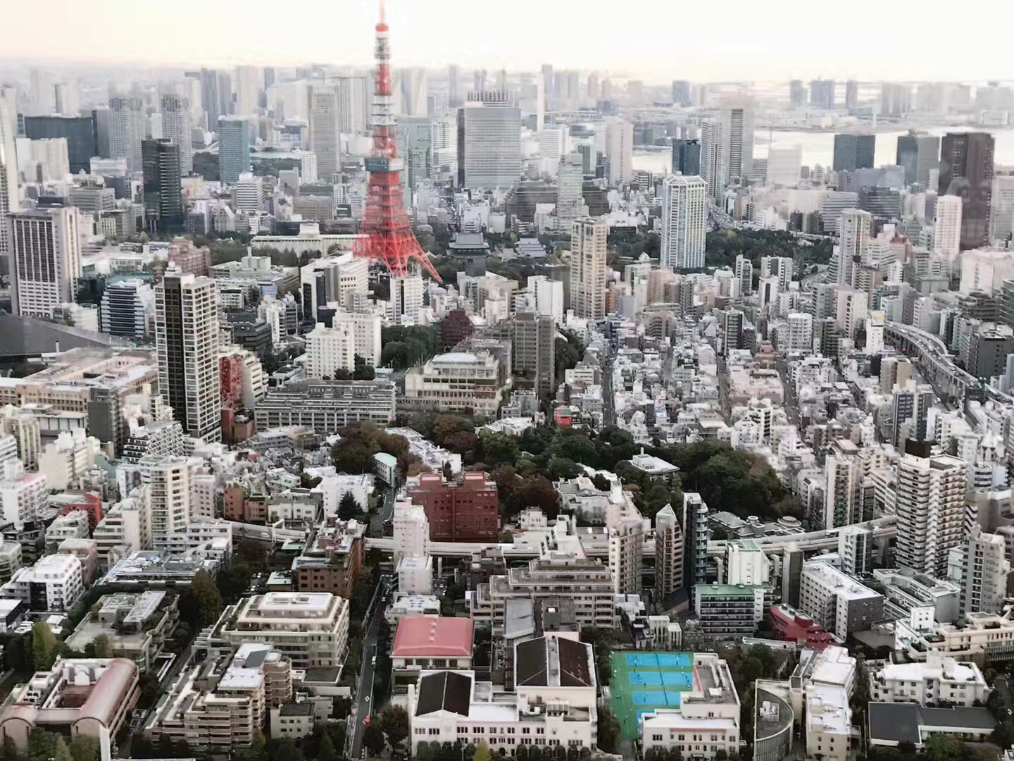 日本留学签证拒签后再申请的几率,日本留学手续需要哪些