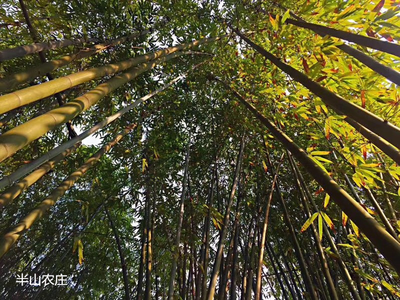 半山田园休闲农庄,半山农庄德江