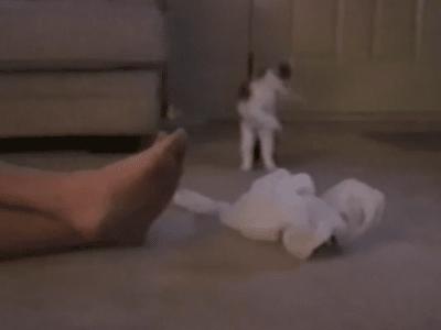 高弹eva拖鞋和普通eva拖鞋的区别,eva网红外穿防水棉拖鞋