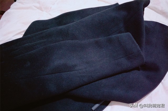 猫狗掉毛有什么好办法吗,如何让猫狗快速掉毛