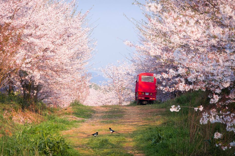 戴口罩的春节,戴口罩的冬天过去了