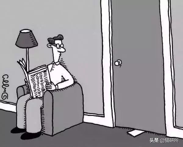 疫情出不去猫咪绝育拆线怎么办,猫咪发情期间能做绝育手术吗