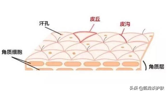 男皮肤粗糙毛孔粗大改善方法,小孩身体皮肤粗糙怎么改善