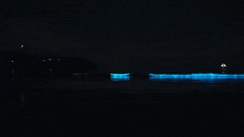 旅游景点推荐国内东极岛,景点推荐东极岛