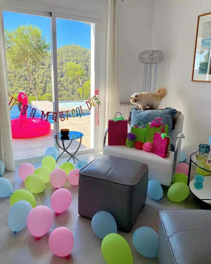 老佛爷13亿欧元遗产由猫继承,继承老佛爷21亿遗产的猫