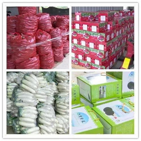 有爱漳浦人！今天请为他们点赞