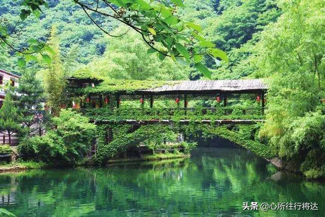 金丝大峡谷旅游有哪些推荐,金丝大峡谷景区攻略