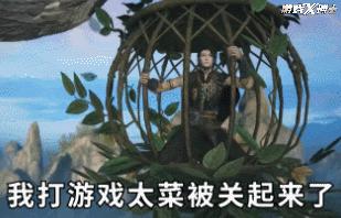 这年头玩家太难了！只因打游戏太菜，被官方用笼子关起来了？