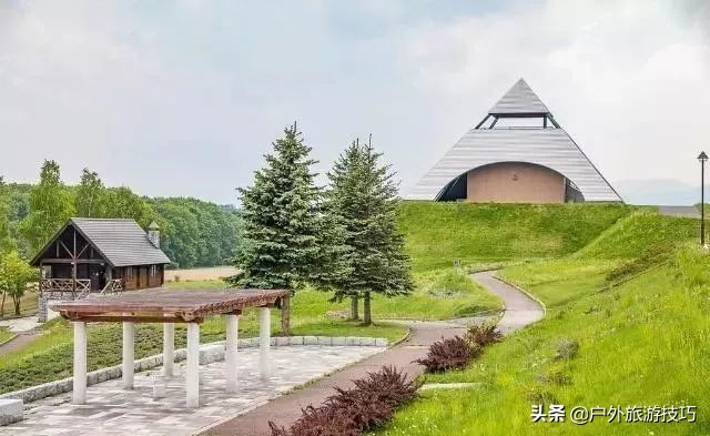 富良野一日游经典路线,日本北海道富良花海