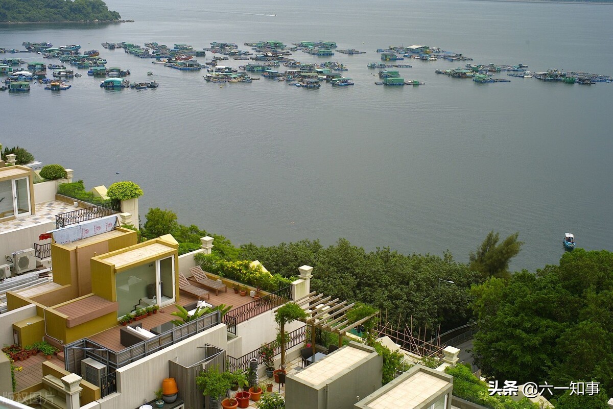 富华陈丽华视频,富豪陈丽华富华国际