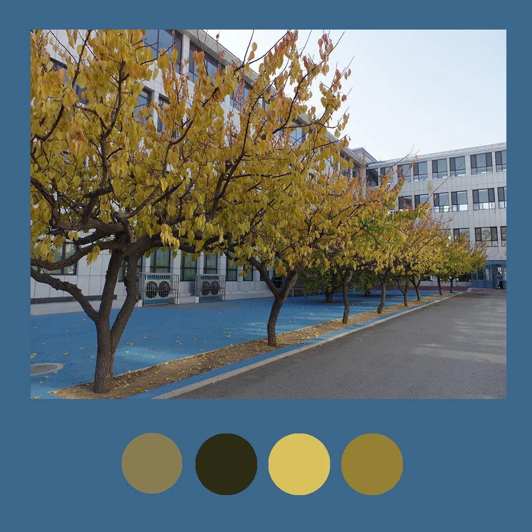 色彩里的构图,色彩中的光感