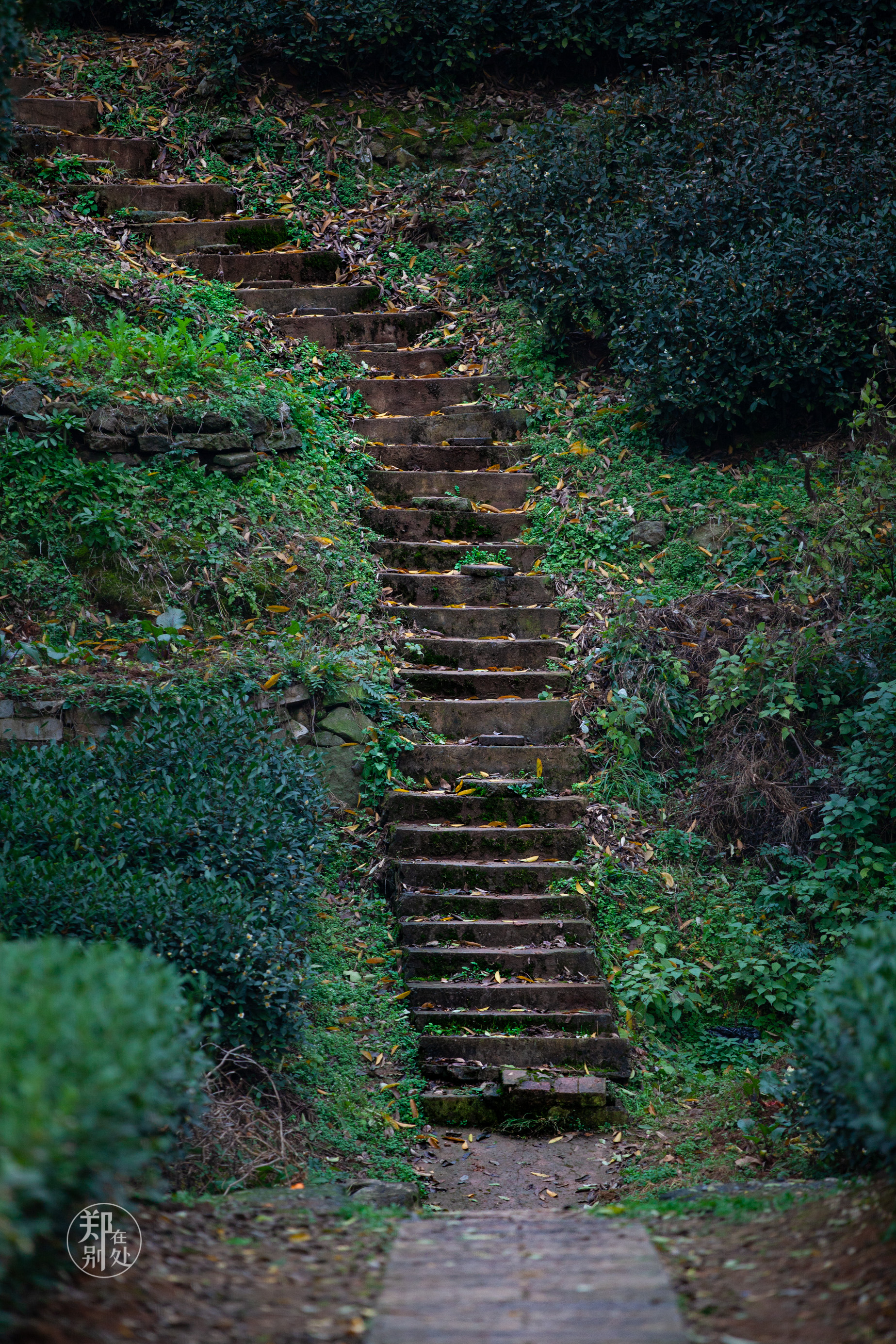 坐公交游杭州几路最好,杭州87路公交沿路风景