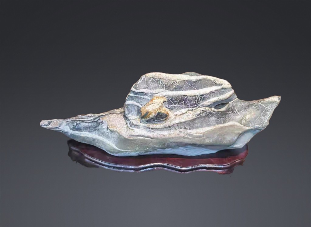 “乘风破浪的石头”入围作品展播