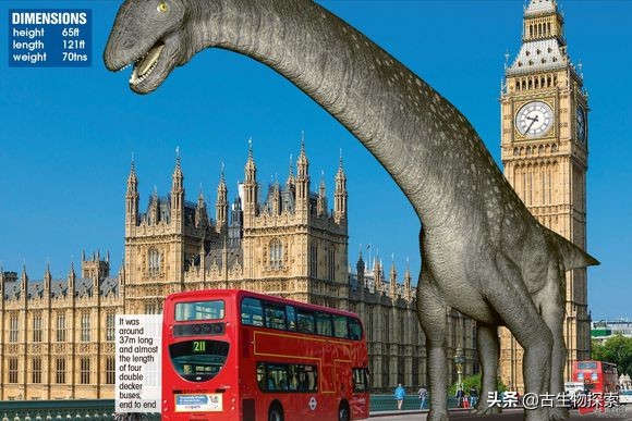 泰坦龙是最大的恐龙吗,世界上最高的恐龙是泰坦巨龙吗