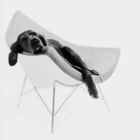 ChairTimes，椅子爱好者大满足1800年至今最经典，你认识多少？