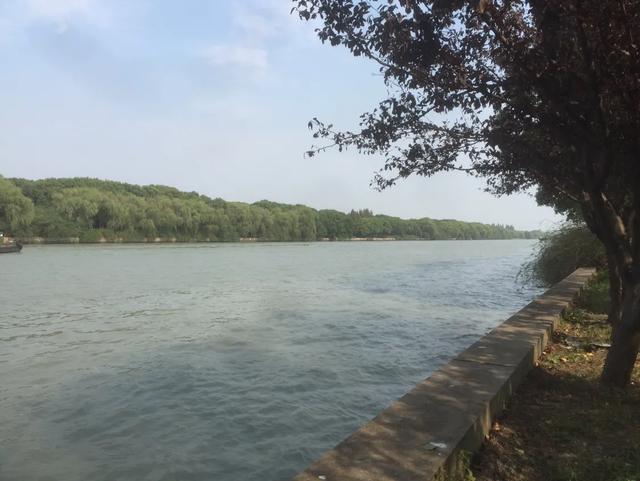 心中的骆驼,心中的骆驼歌词