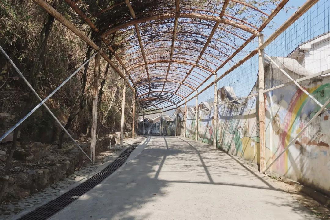 在动物园散步才是正经事|暴走福州