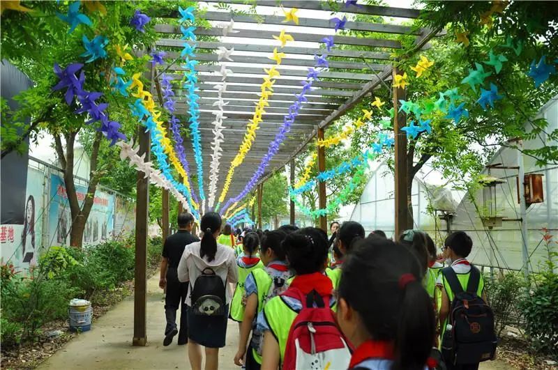 江苏省南通市启东市长江小学,启东长江小学研学