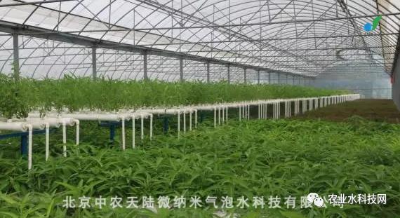 营养液在无土栽培的时候怎么增氧,无土栽培的营养液是怎么配制