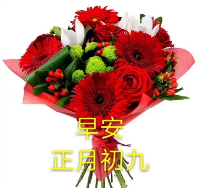 大年初九，久久的祝福送上，愿你幸福久久，好运久久，快乐久久！