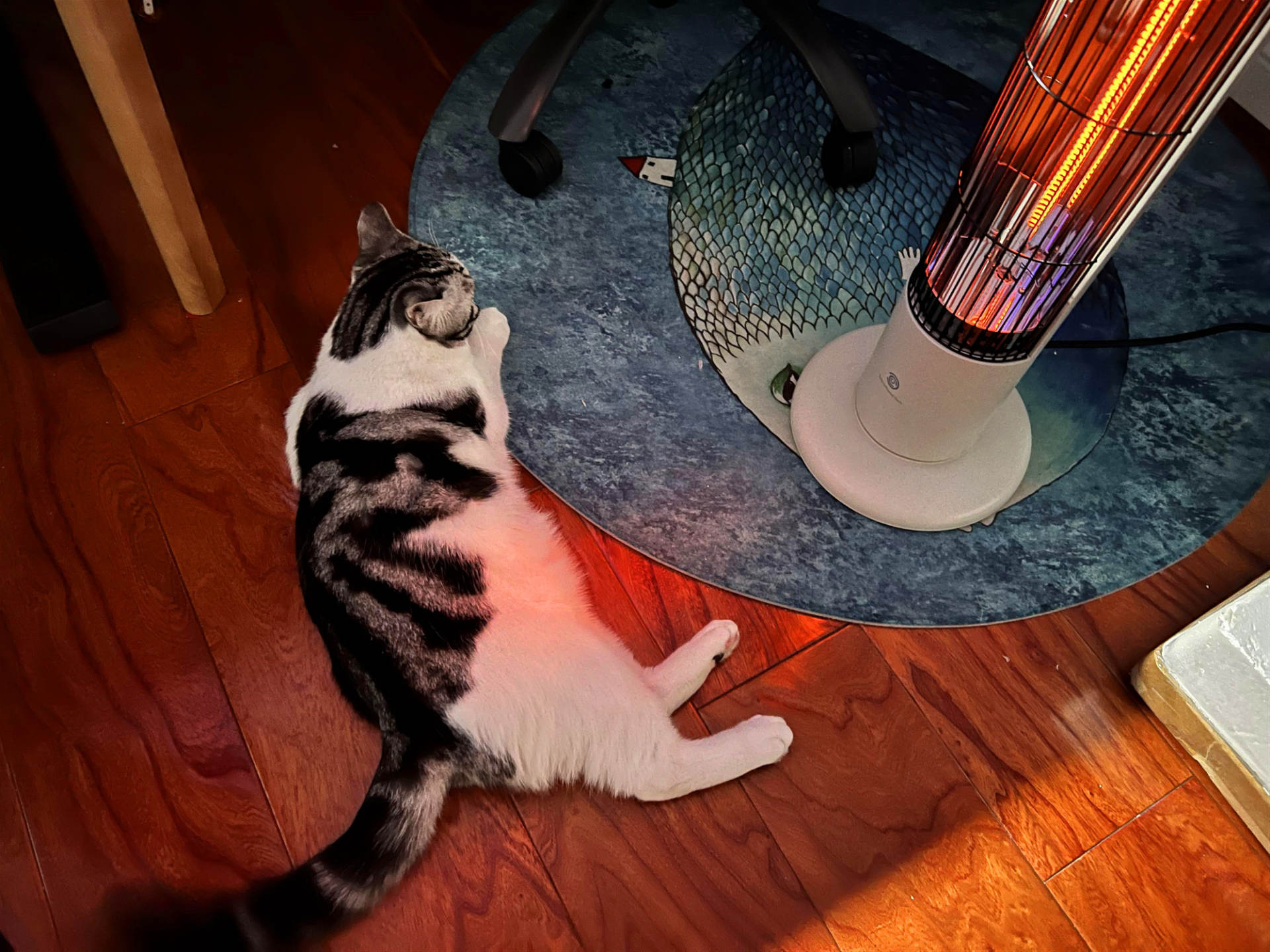 对流式取暖器优势,2020年最好用的即热型取暖器