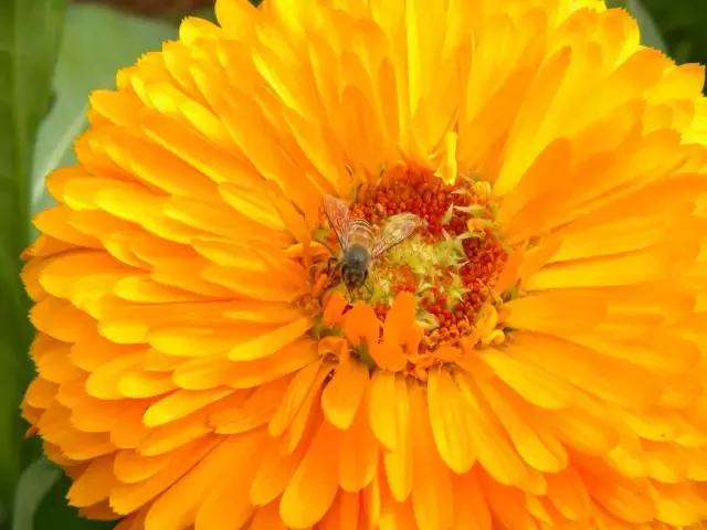 新晋美妆红人林允揭晓肌肤奥秘,林允现在在美妆界