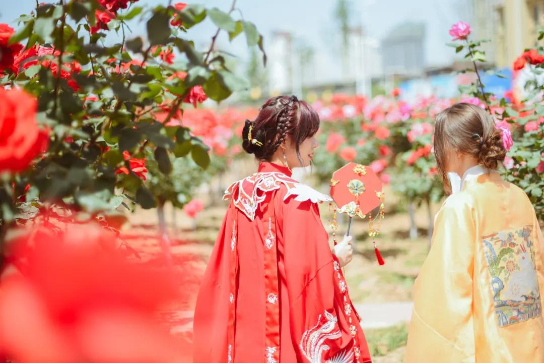又刷屏了!高新这片花海,惊艳你的朋友圈!