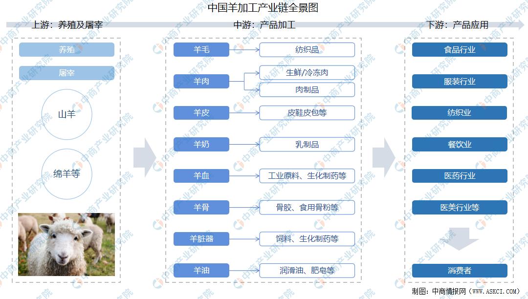 中国羊产业高质量发展,羊产业链实现战略闭合