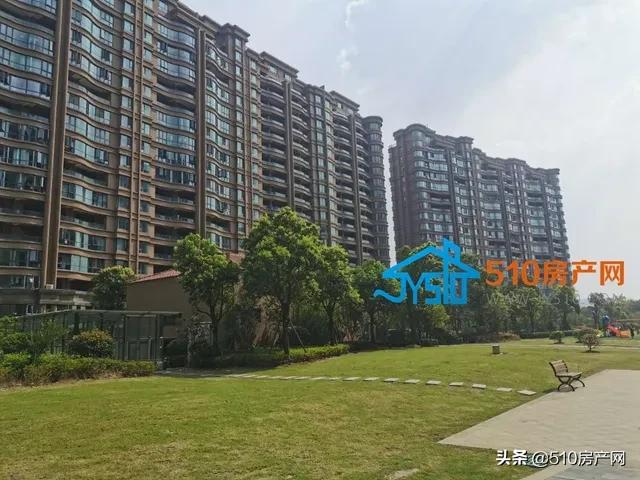 立新校小区改造,新建中学建设进度