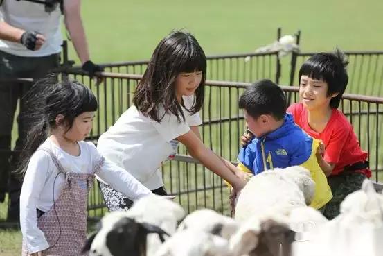 国内的贵族学校，并不是孩子最好的归宿