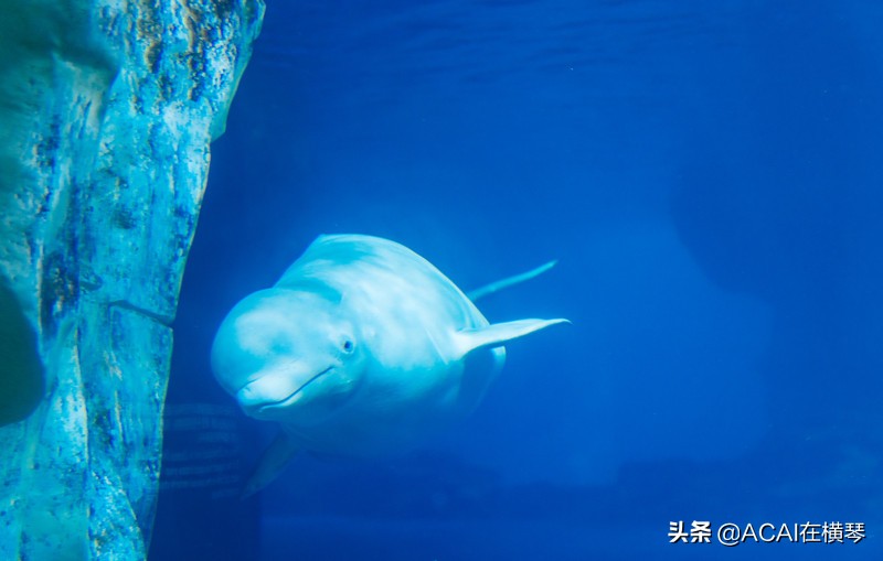 吃喝玩乐in珠海,珠海吃喝玩乐一体的地方