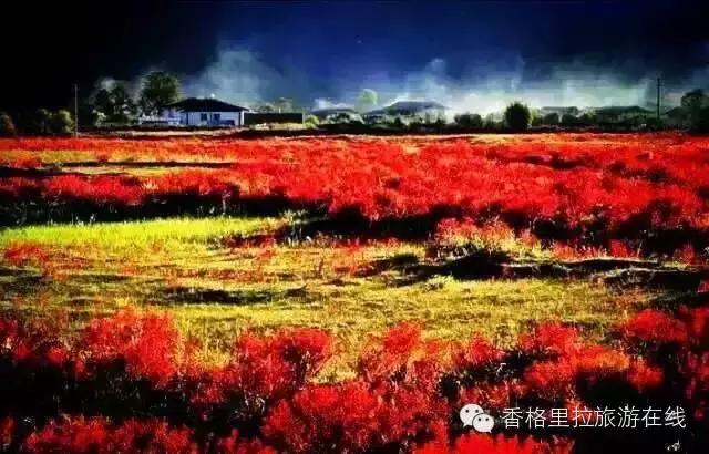 香格里拉除了景点还有好玩的地方,丽江去香格里拉路途中有什么景点