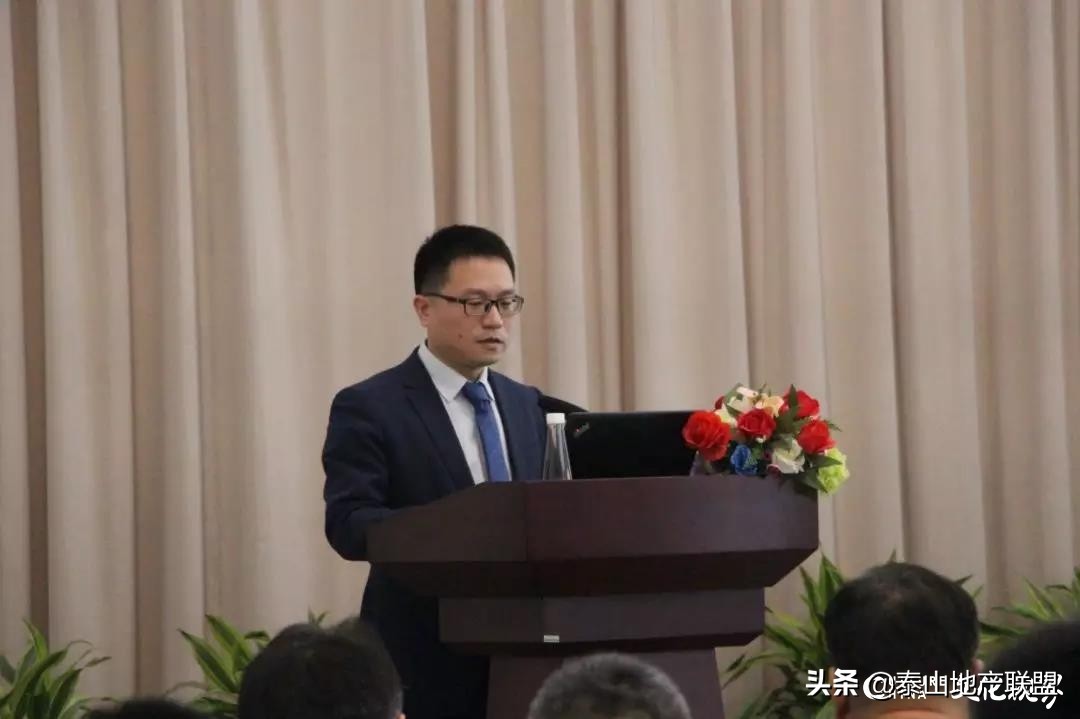 银丰集团年会,银丰地产集团最新进展