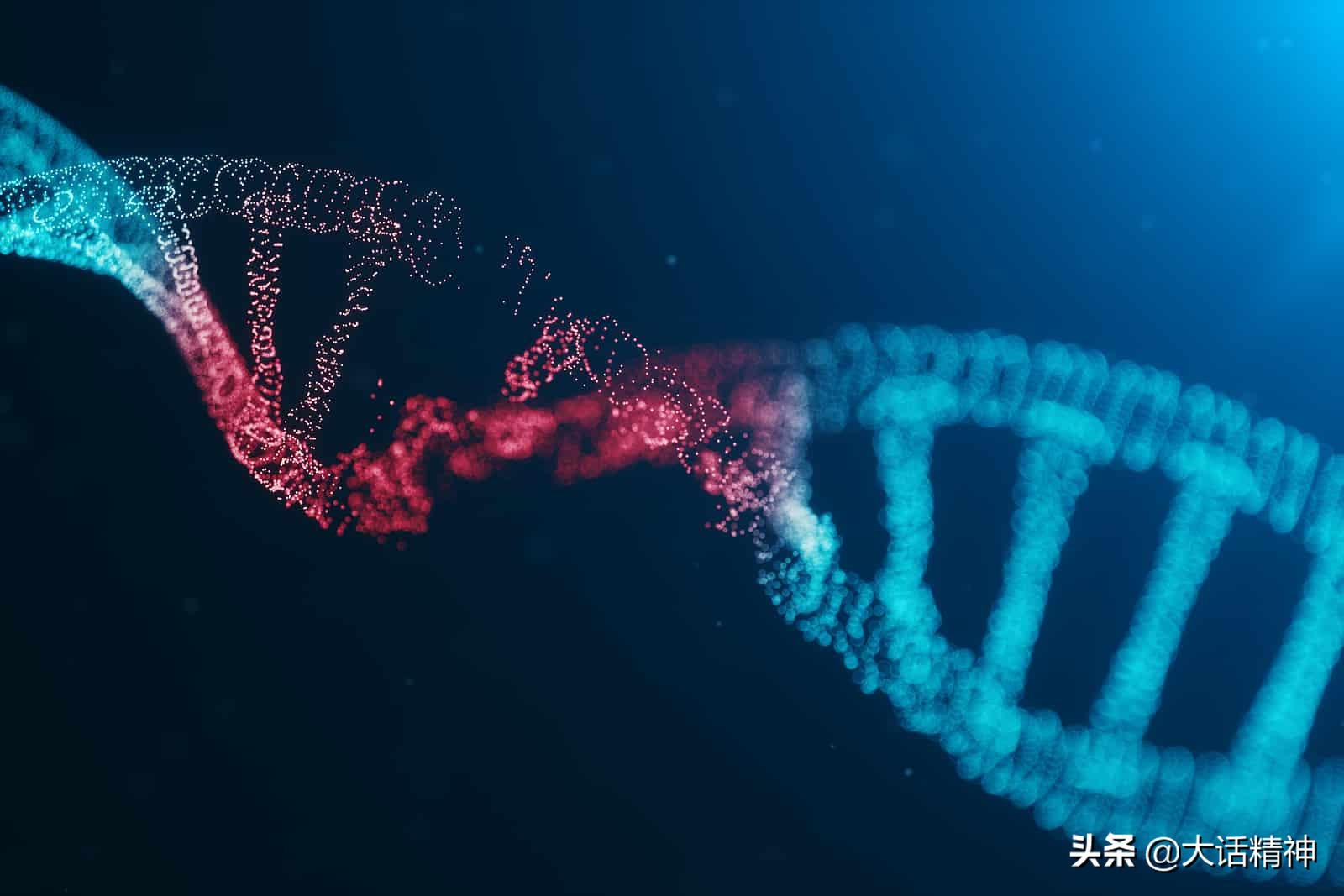 自闭症典型症状和可能形成的原因,自闭症患者可能存在的症状