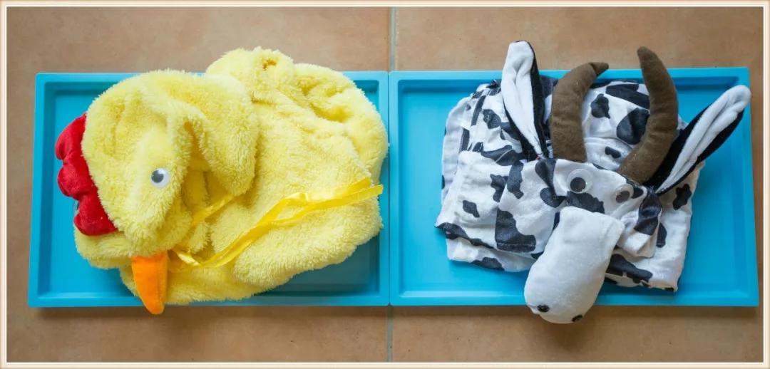 环境创设主题墙大班动物,可爱的小动物大班环境创设