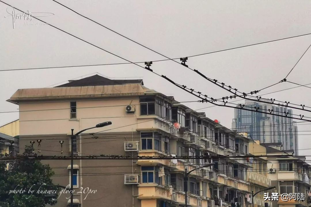 杭州还有带辫子的电车吗,杭州街上电线