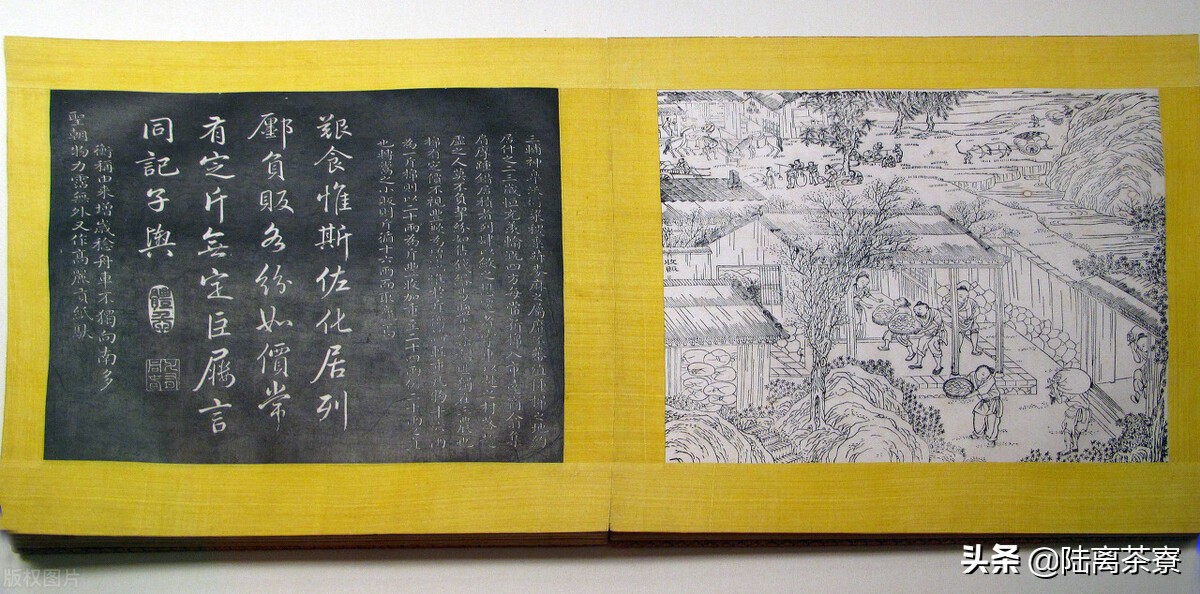 从故宫贡茶看普洱茶史,垃圾茶揭秘