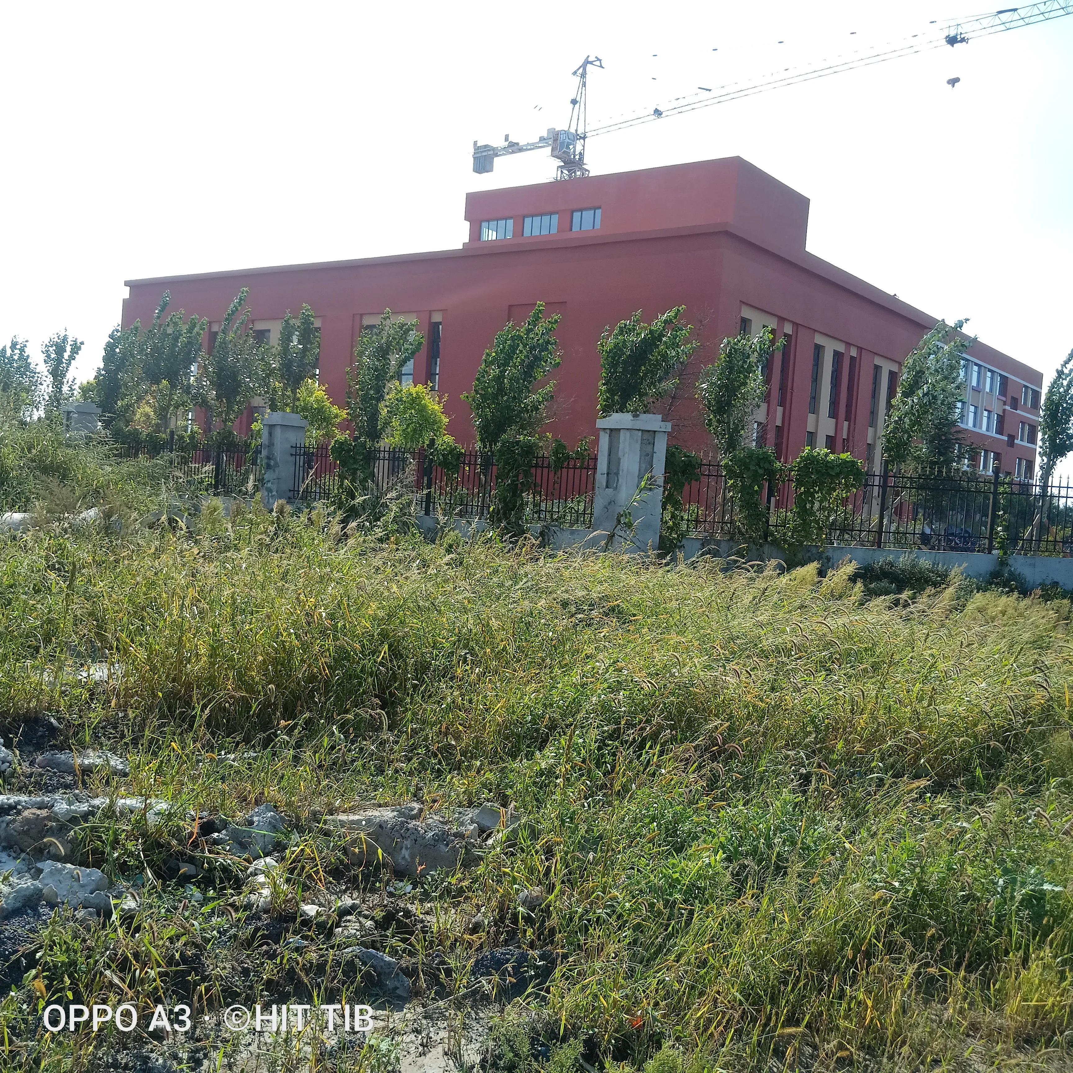 哈南万达小学招生,哈南万达小学是重点吗