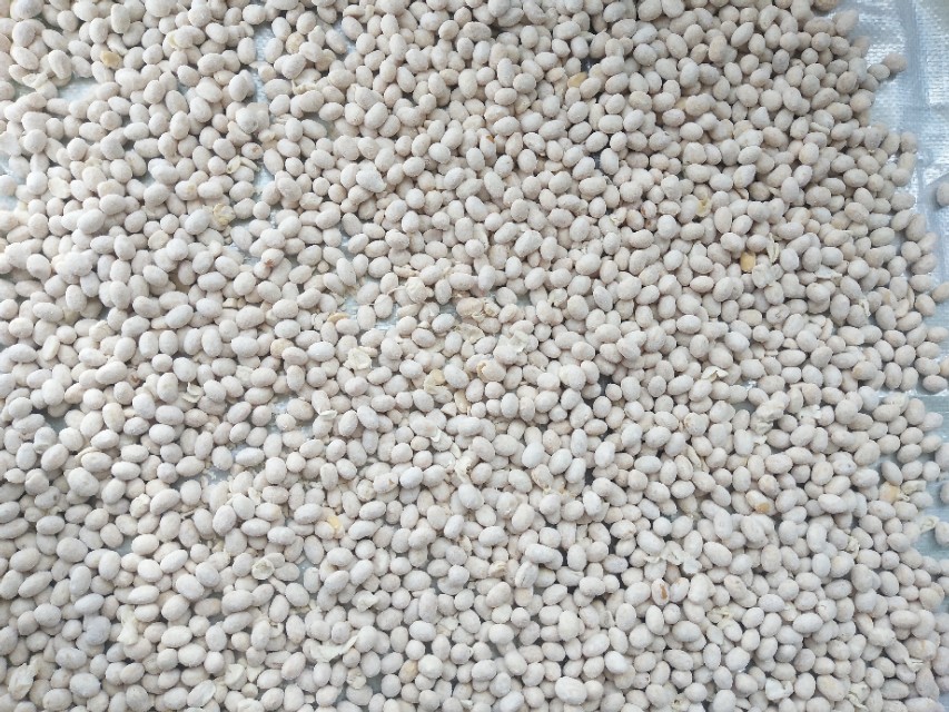 在山东、河南两地，当西瓜遇见黄豆，感觉妙不可言！