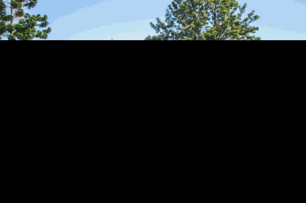 福州一日游最佳去处免费凉快,福州一日游最佳方案旅游攻略