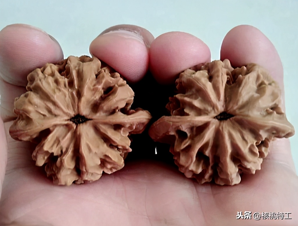 龙鳞核桃是官帽吗,龙鳞纹核桃是不是王勇官帽