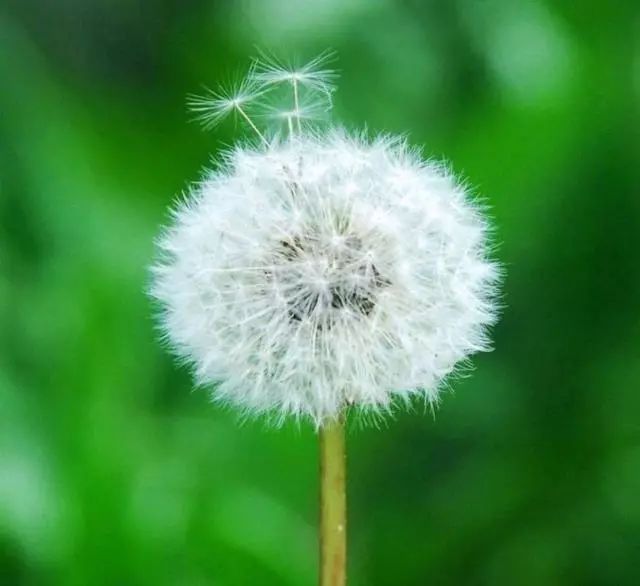 人生和电影一样都是以余味为标准,人生与电影一样都是以余味定输赢