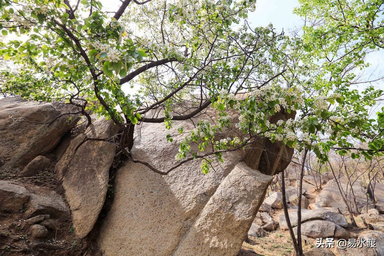 易县八百山,易县一日游太行水镇
