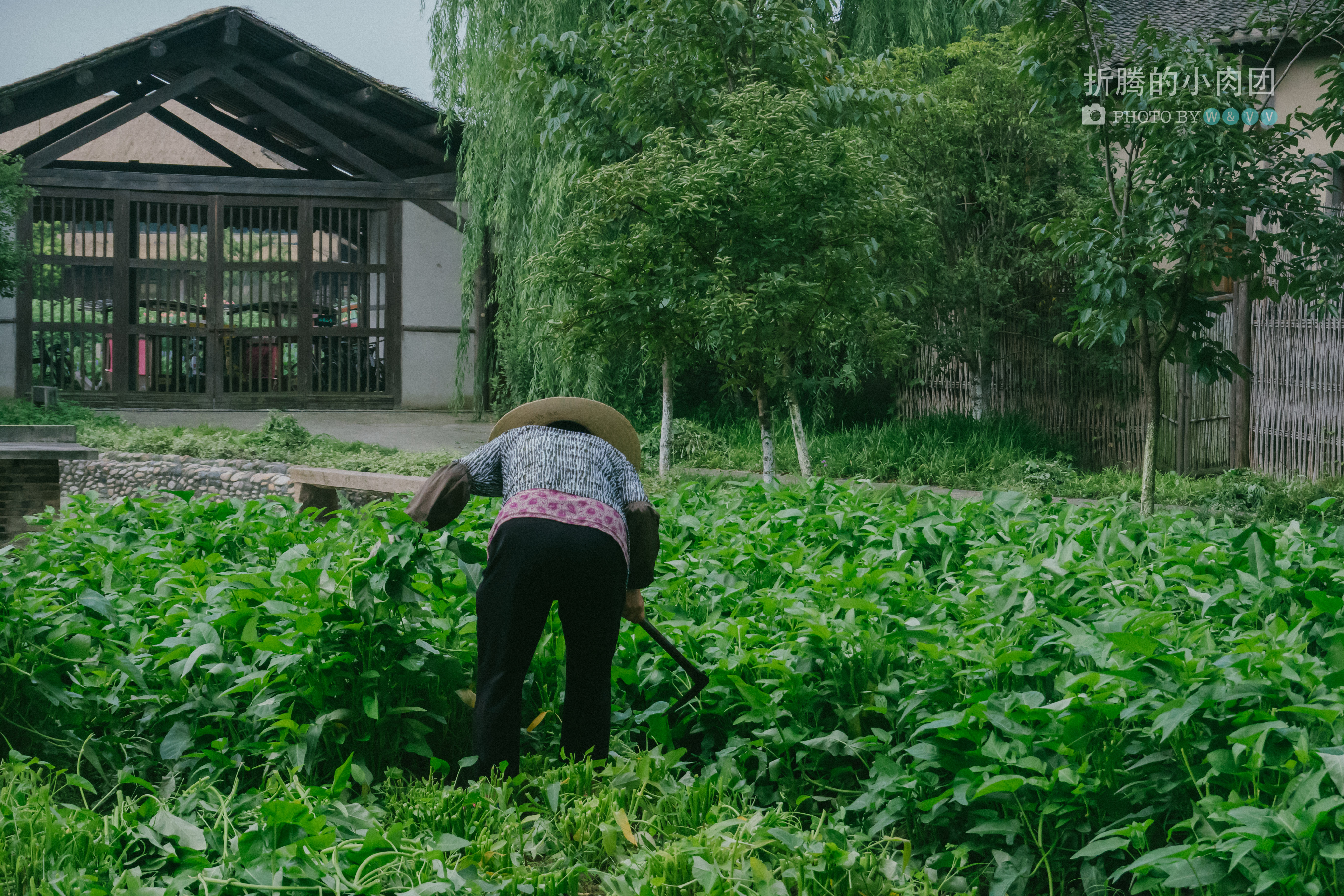 乌村亲子游全攻略,乌村亲子游攻略