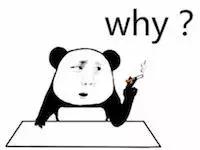 狸花猫在国外真的很少见吗,一只狸花猫的价格