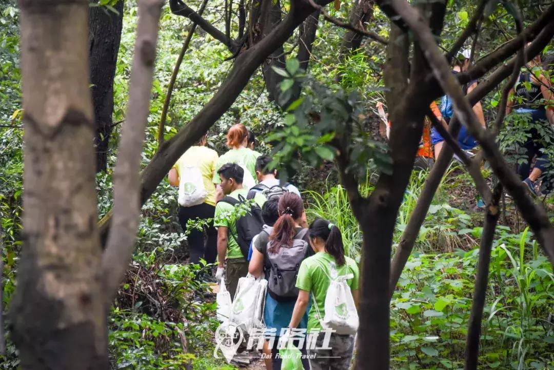 绿色环保行动实践活动总结,用行动践行绿色环保理念