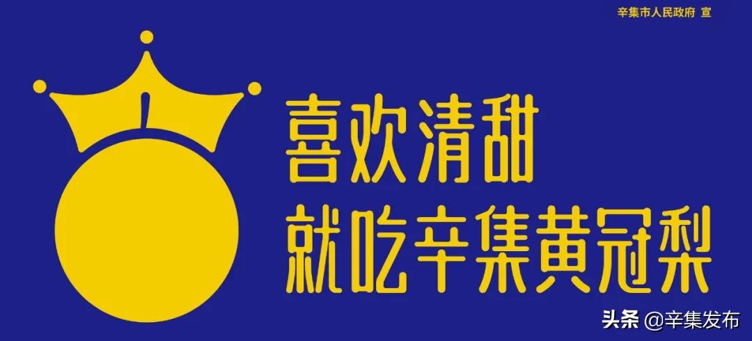 小学、社区、医院,3名*党**支部书记这么说…