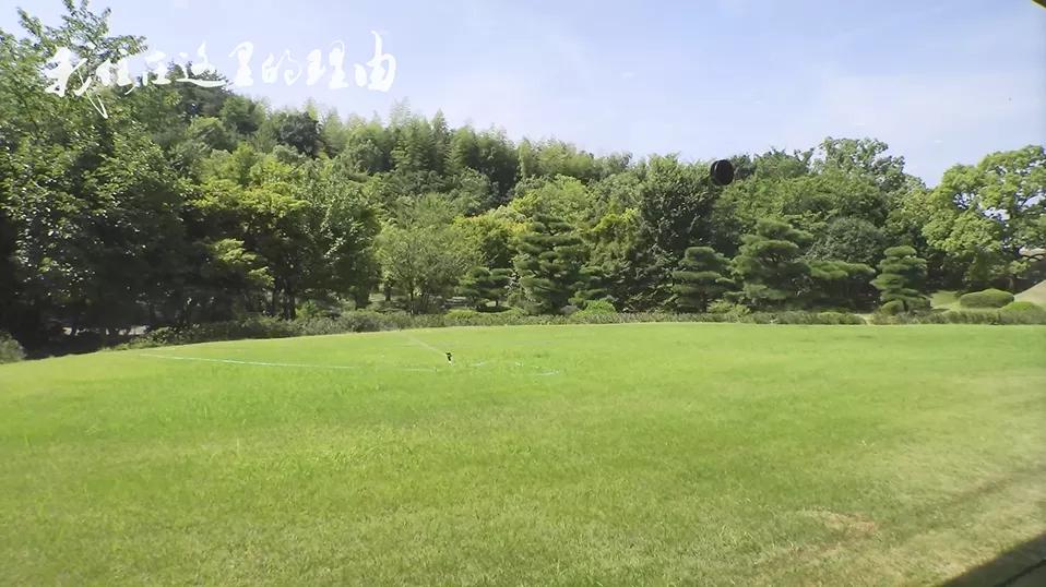 日本新冠疫情严峻时期,日本新冠疫情实时动态最新