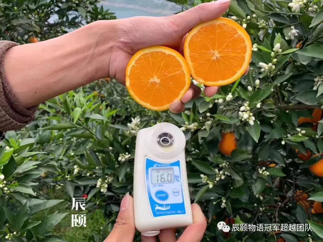 人间最美四月天春光正盛,人间最美四月天不负春风和暖阳